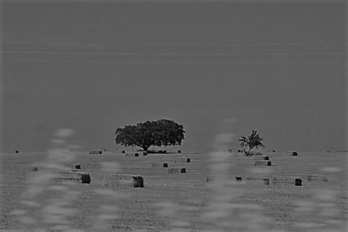 28620_1288515827388_6353117_n.jpg