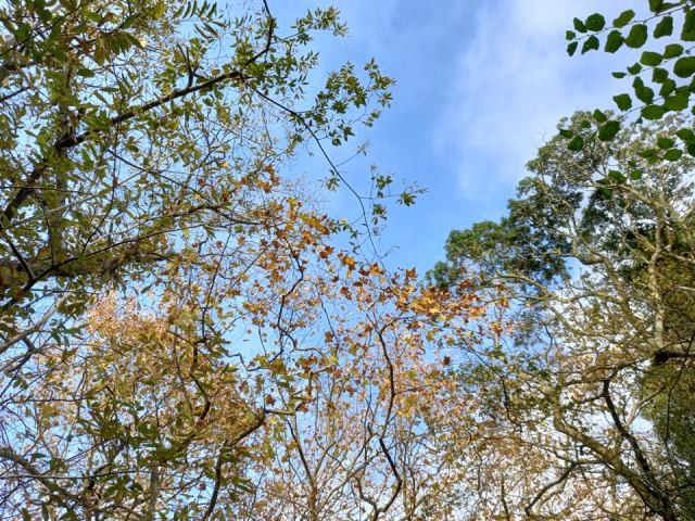 259728124_1069508490530269_8345365514049844029_n.j