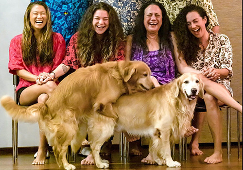 HD Foto de família com cães a fazerem sexo.jpg