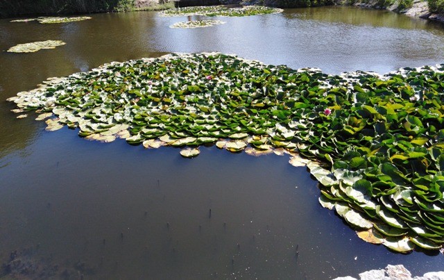 117038394_3104317319683552_4958328829716064017_o.j