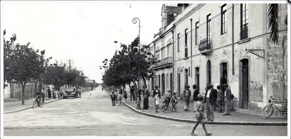 grandola avenida jorge nunes.JPG