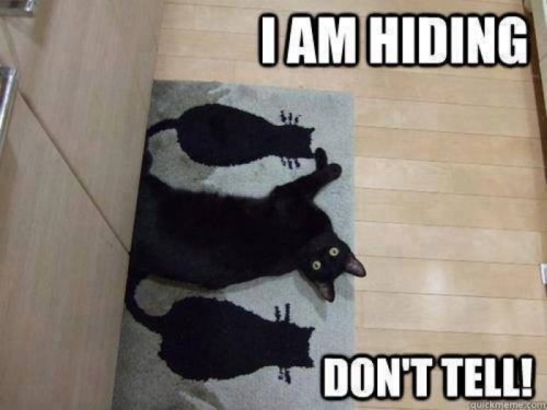 I-am-hiding---cat-meme.jpg I-am-hiding---cat-meme.jpg