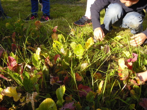 SDC11477.JPG SDC11477.JPG