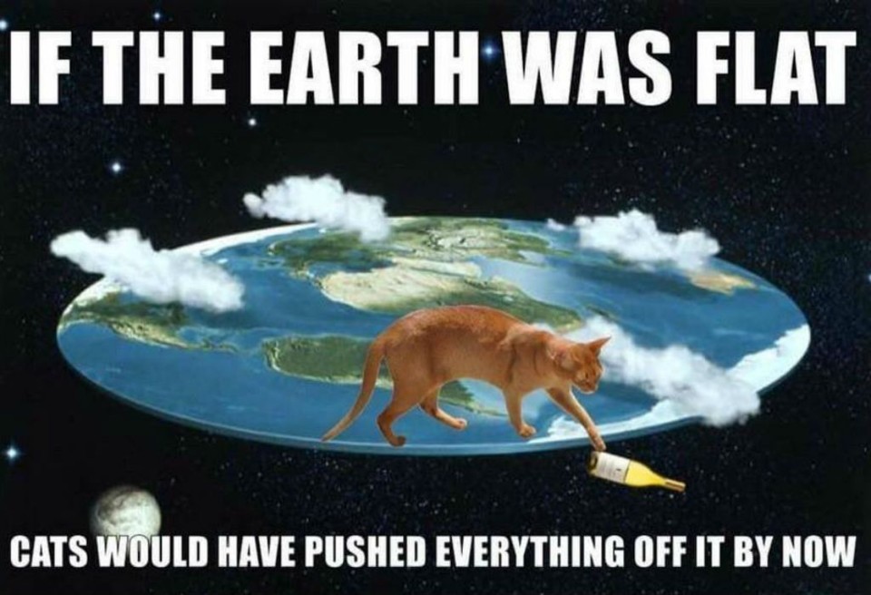 cat-meme-61.jpg