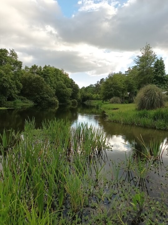 Não me canso disto_rio homem1.jpg
