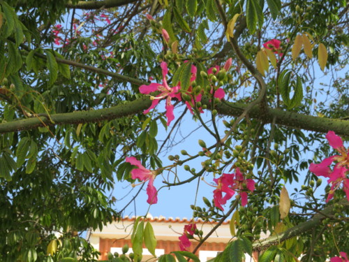 IMG_0295.JPG