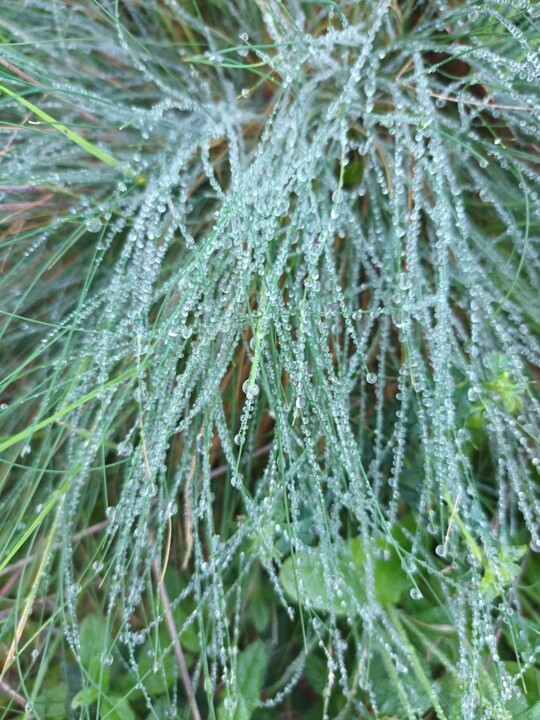 Não me canso disto 4.jpg