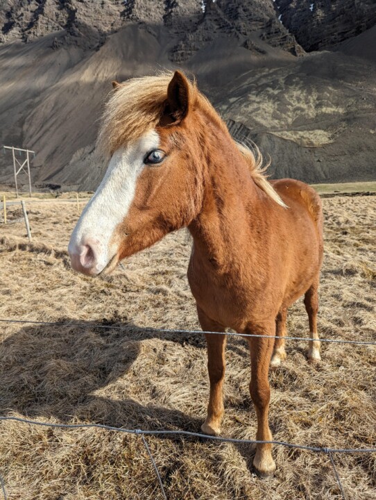 Islandia_AbrilMaio2024-323.jpg