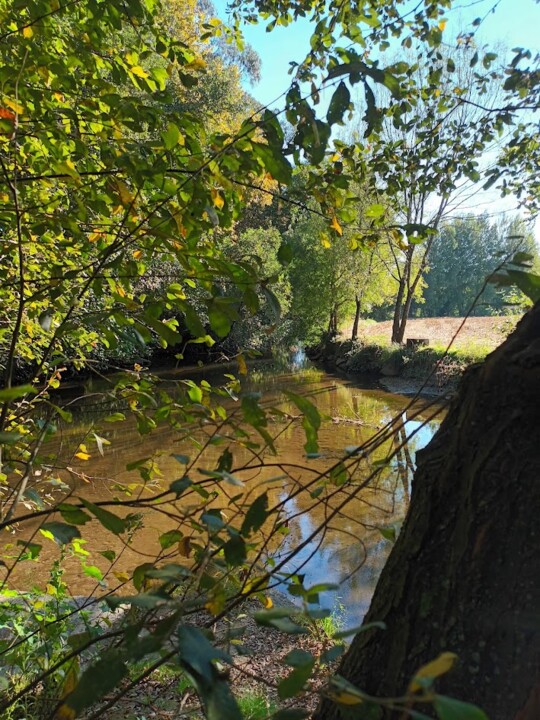 Não me canso disto mosteiro7.jpg