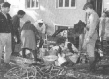 cheias-1967.jpg