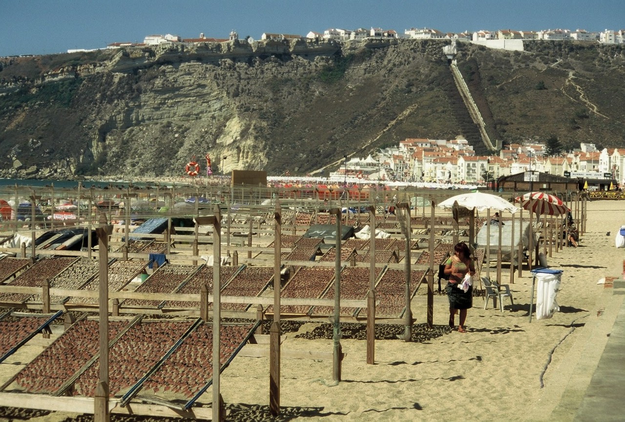 seca de peixe 1.jpg