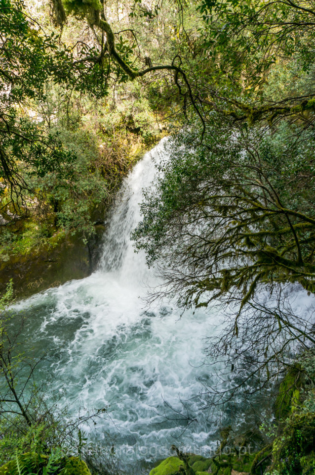 _DSC5750.jpg