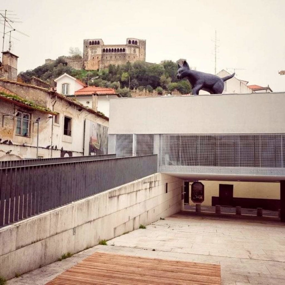 received_728948384623986.jpeg received_728948384623986.jpeg