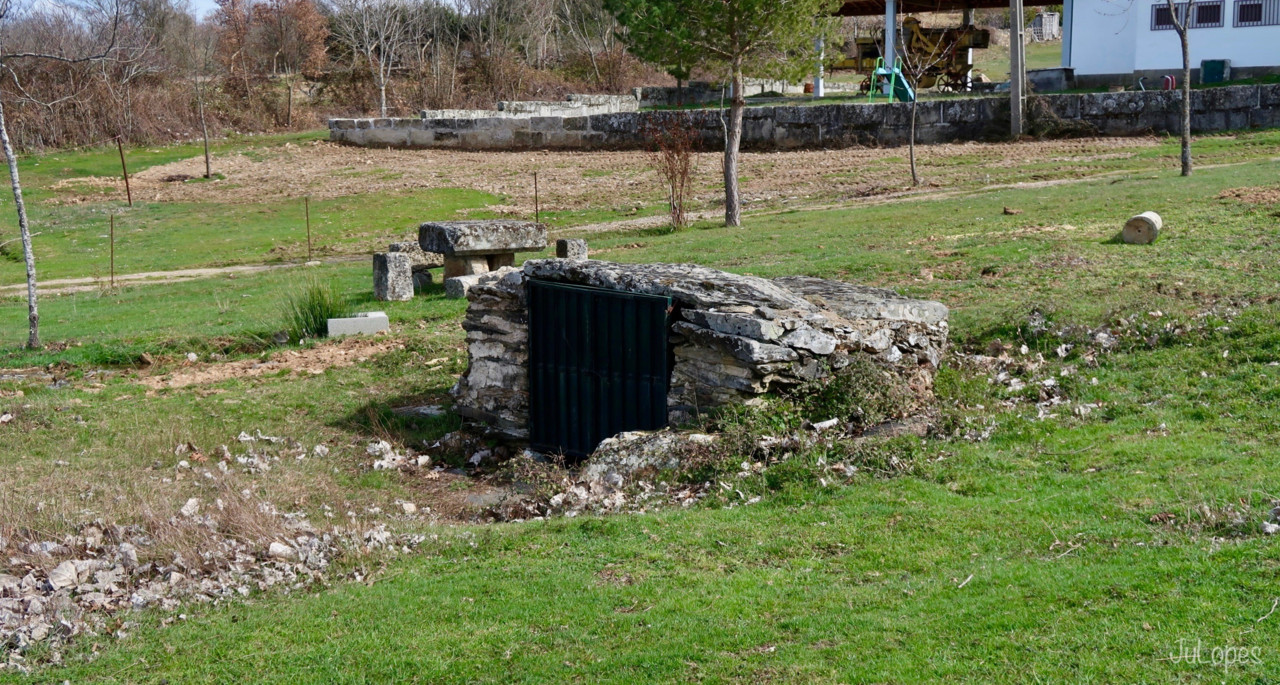 IMG_0301.jpg