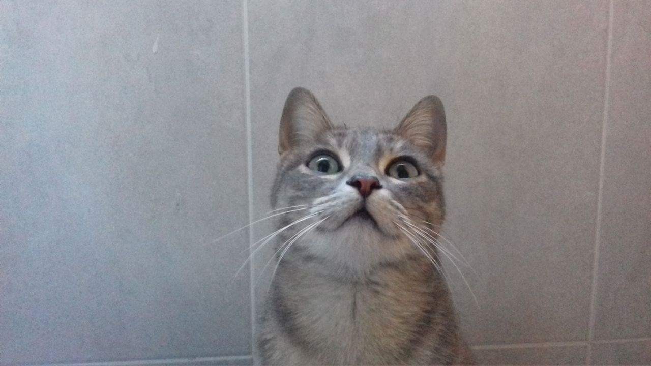 received_1776897245677396.jpeg received_1776897245677396.jpeg