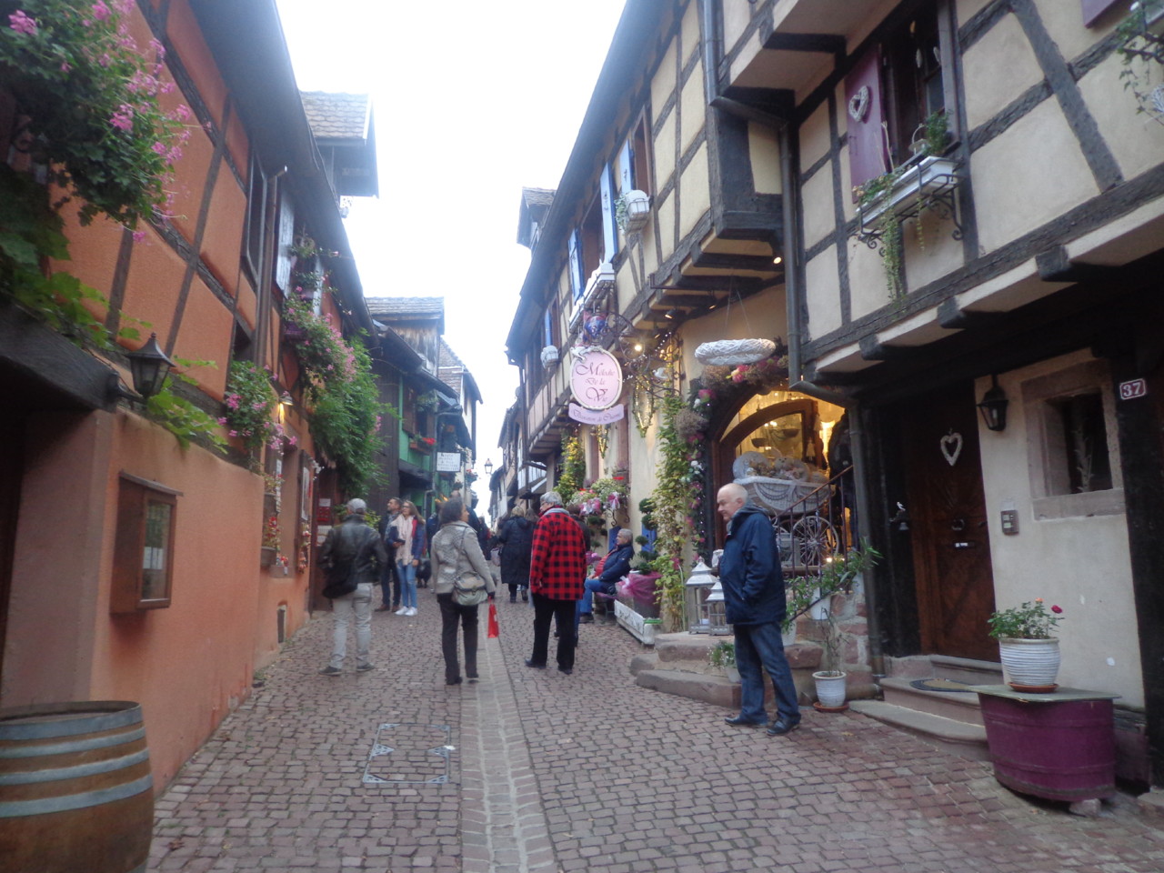 DSC06628.JPG