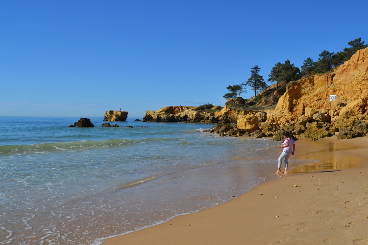DSC_0099.jpg DSC_0099.jpg