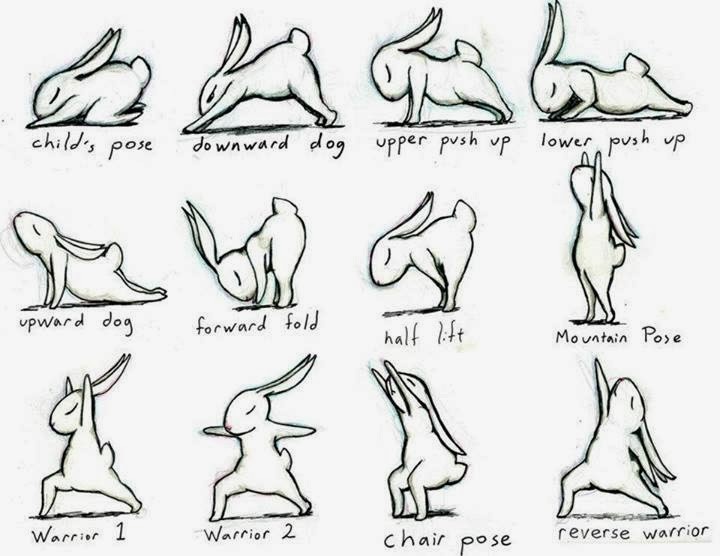 Bunnyoga.com.jpg