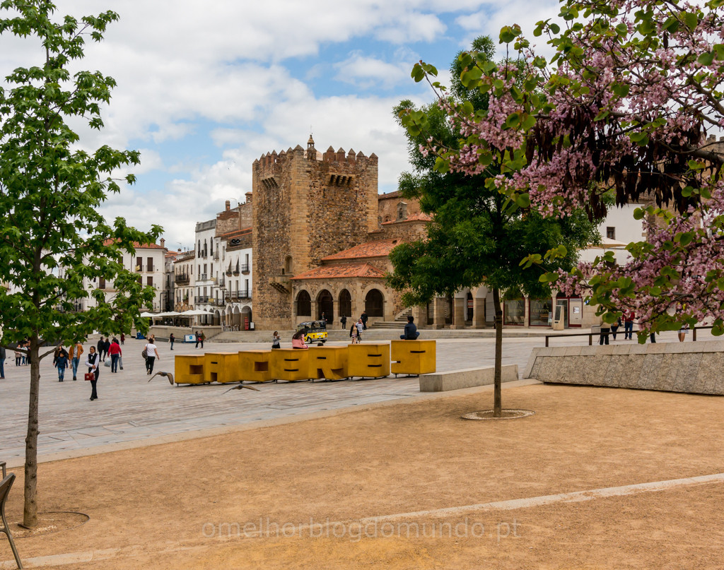 _DSC6302.jpg