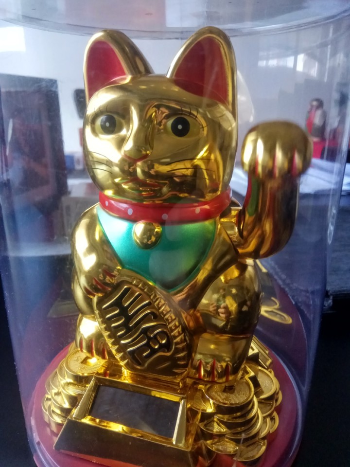 gato.jpg