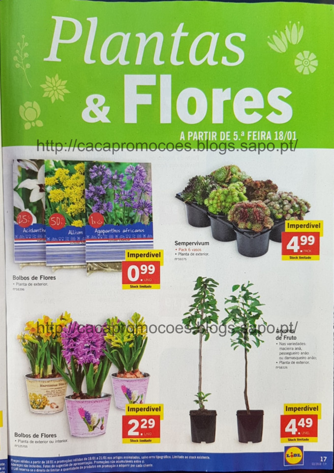 lidl folheto antevisão_Page17.jpg