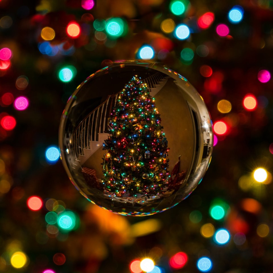xmas tree.jpeg