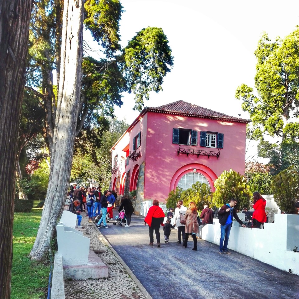 jardim tropical belem (19).jpg