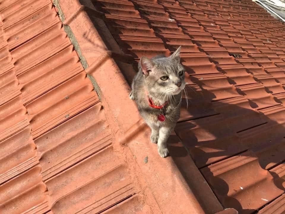 161570562_3971557876237154_7038842040094722907_n.j 161570562_3971557876237154_7038842040094722907_n.j