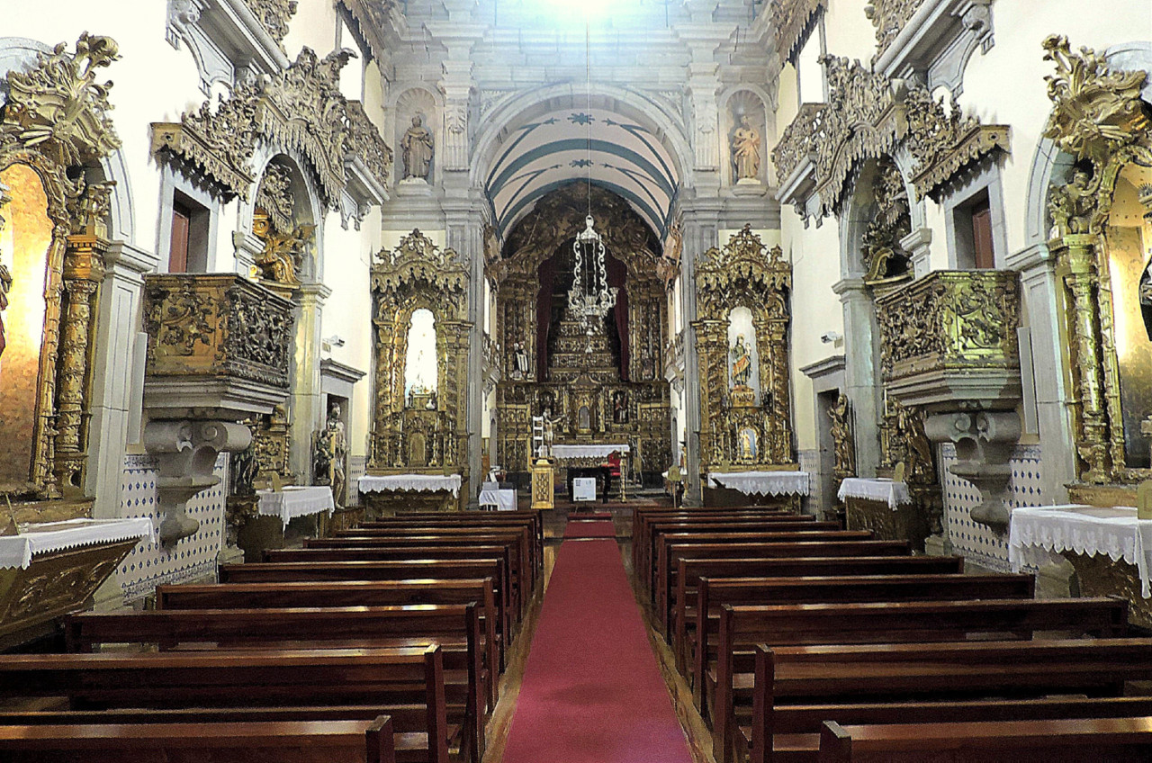DSCN6435 (2)-001MASSARELOS.jpg
