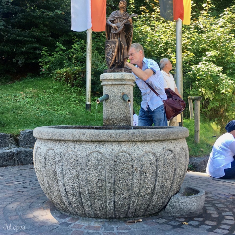 IMG_6549.jpeg
