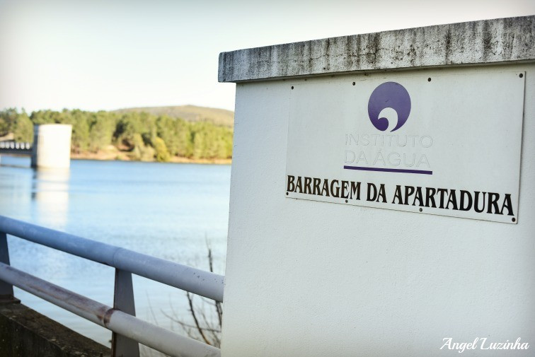 Angel Luzinha Fotografia-7714_BLOG.jpg