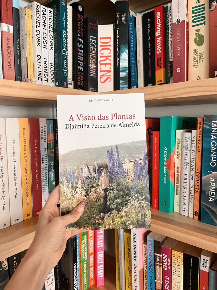 A Visão das Plantas, Djaimilia Pereira de Almeida - Rita da Nova
