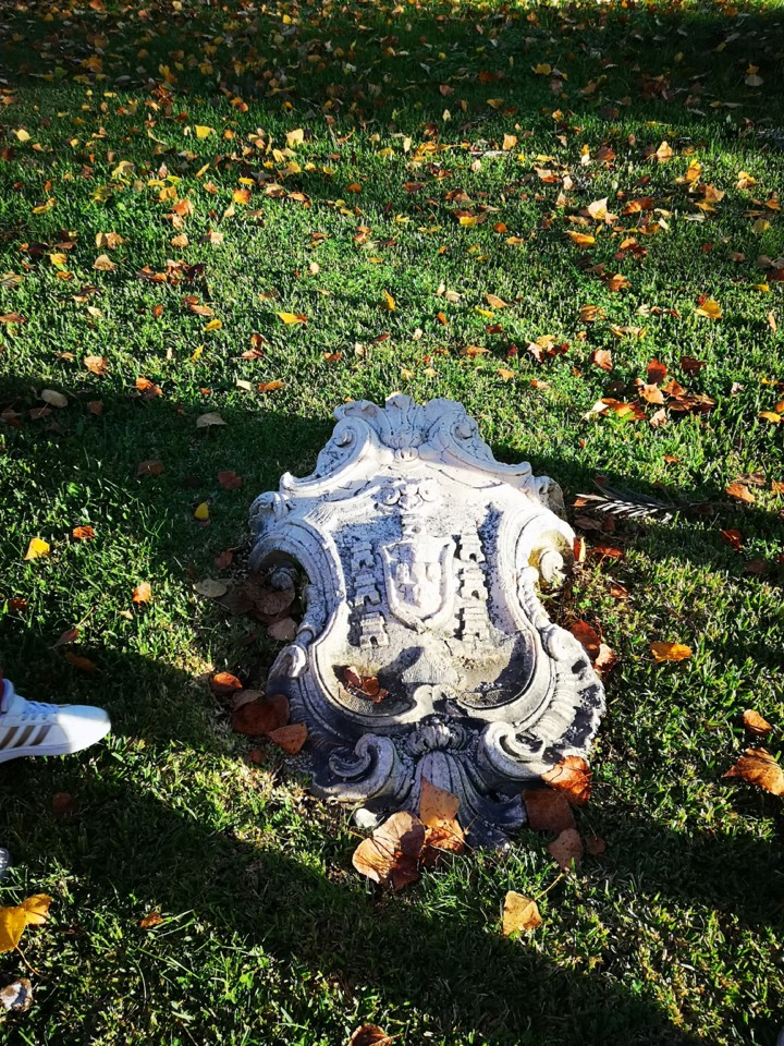 IMG_20201116_082757.jpg