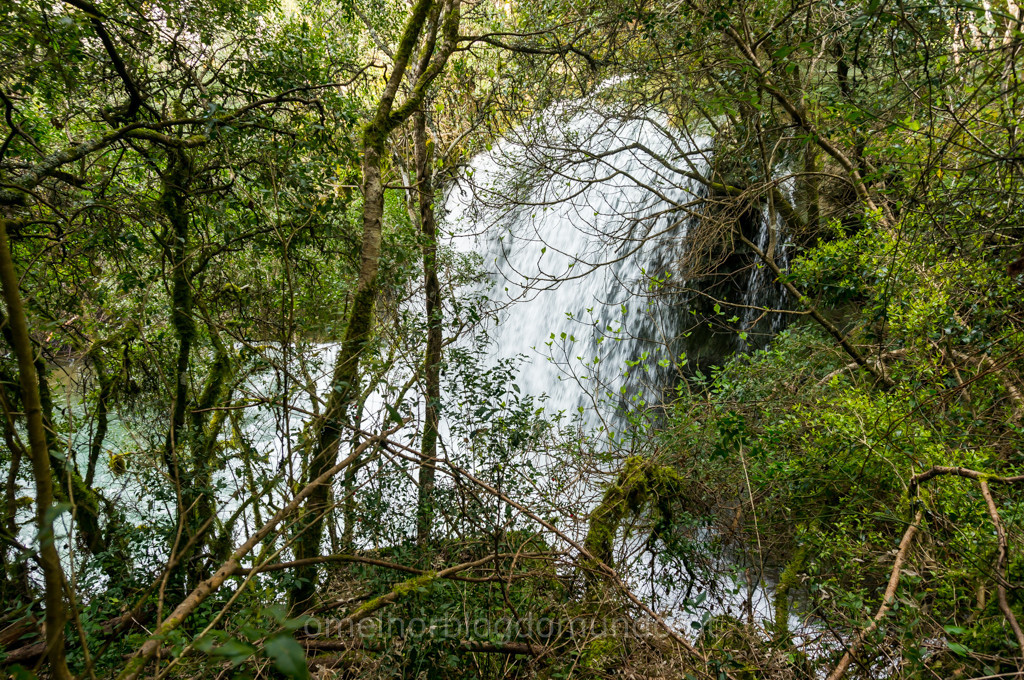 _DSC5747.jpg