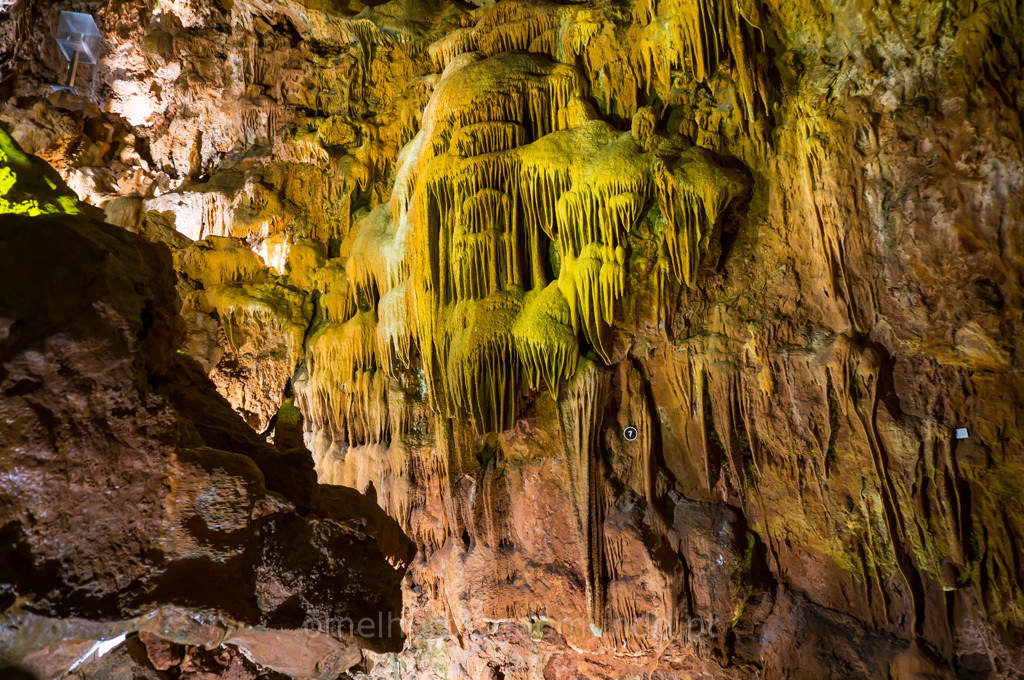 _DSC7066.jpg