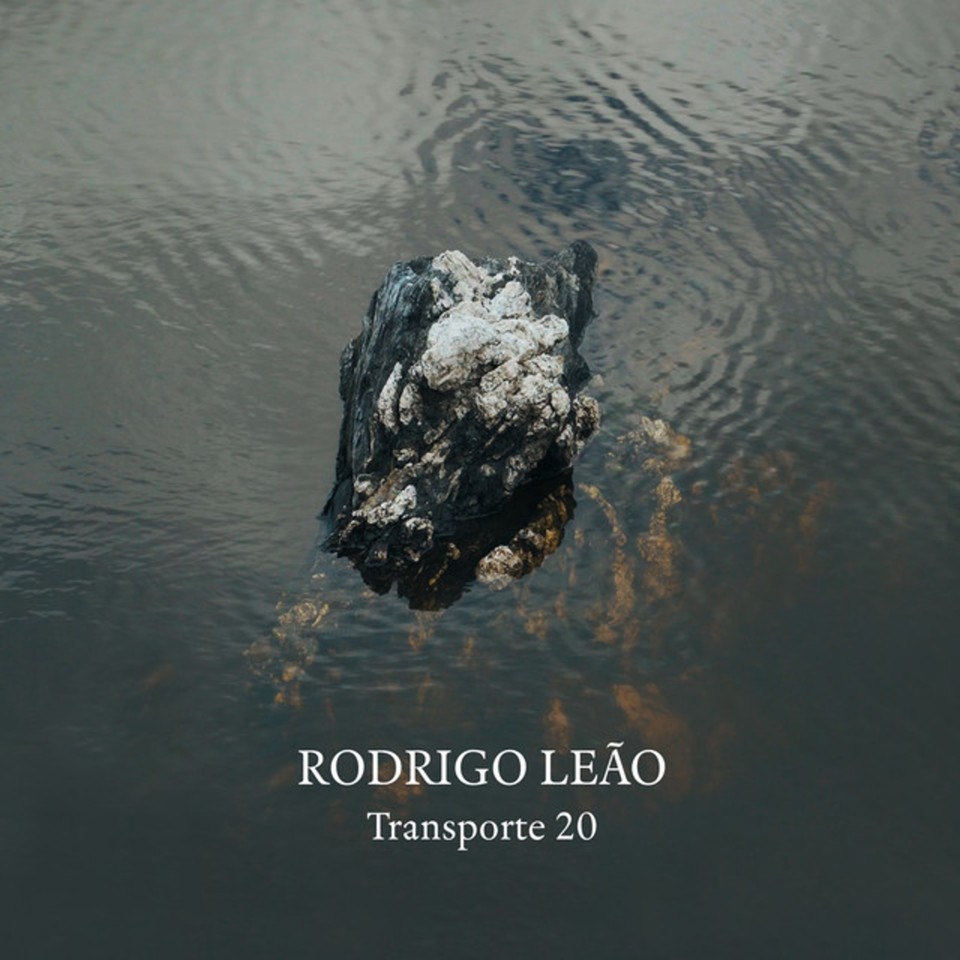 RODRIGO LEÃO - TRANSPORTE 20.jpg