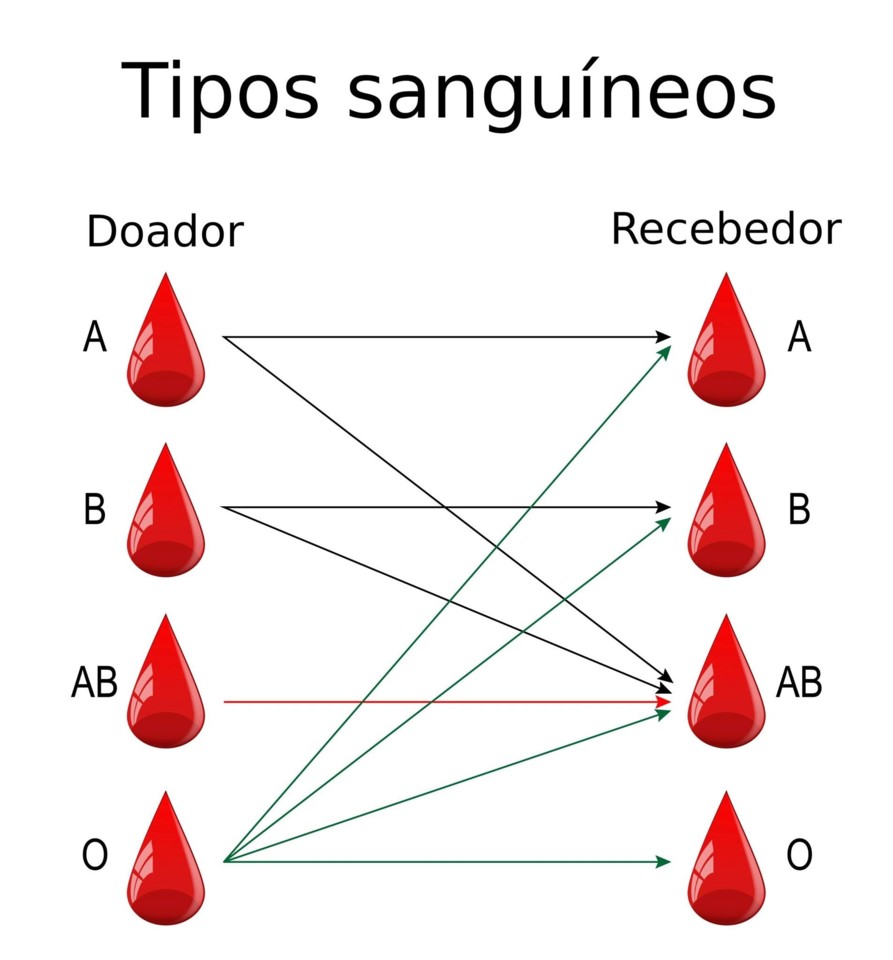 Tipos de sangue e compatibilidade