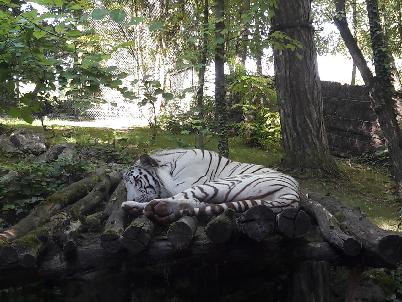 20180804_170901.jpg
