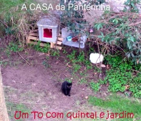 casadapanterinha.jpg