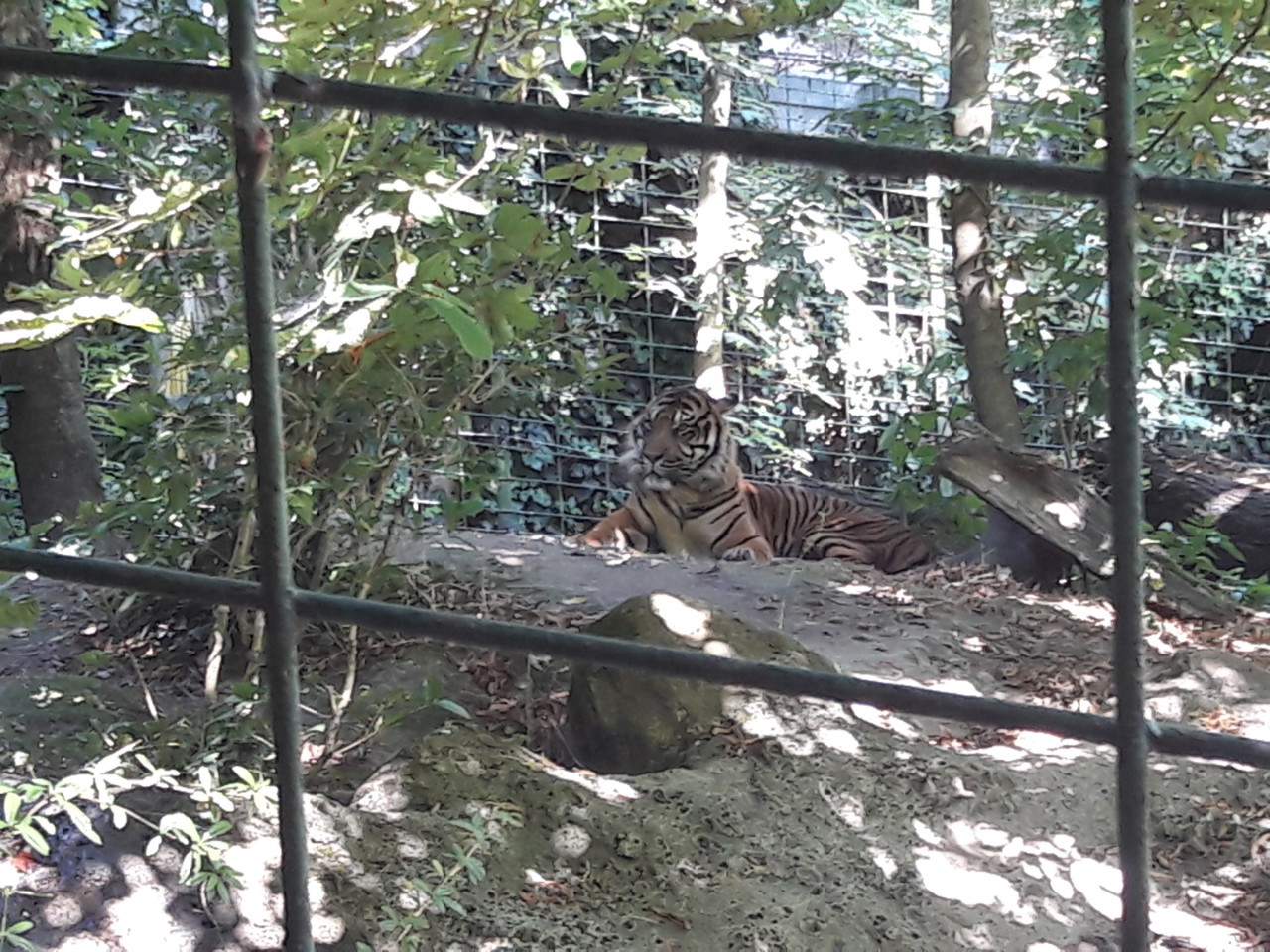 20180804_170623.jpg