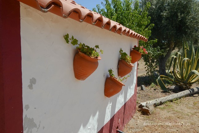 horasvagasblog_montedapedra2.jpg horasvagasblog_montedapedra2.jpg