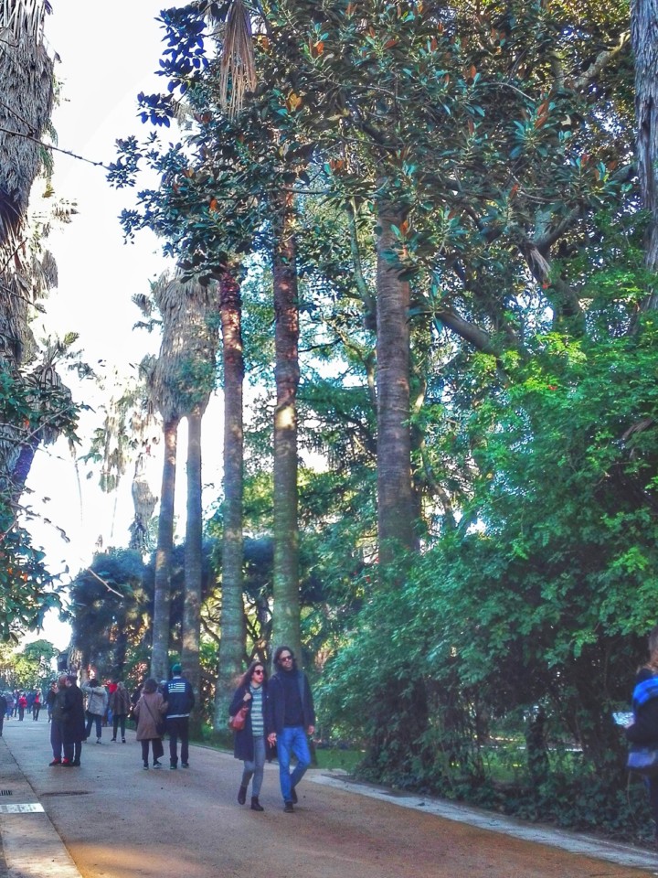 jardim tropical belem (2).jpg