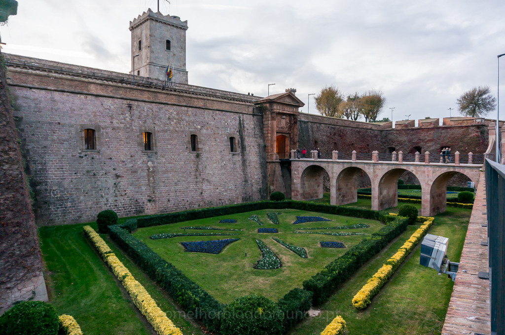DSC04158.jpg