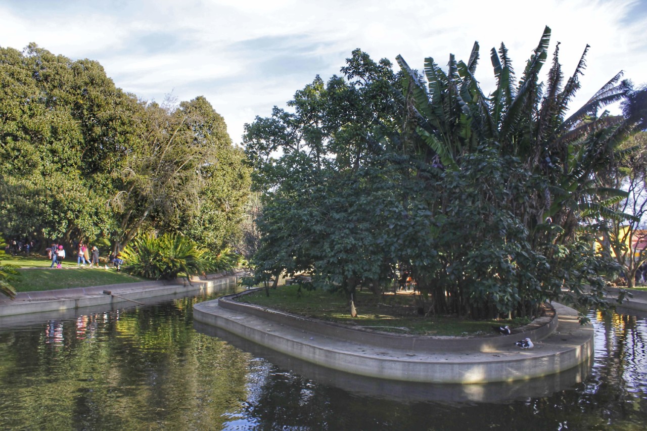 jardim tropical 002-01.jpg