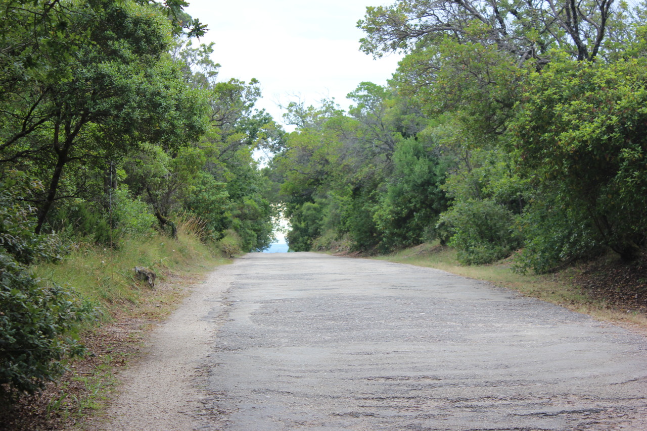 IMG_2687.JPG IMG_2687.JPG