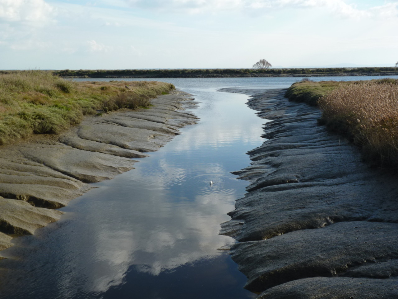 Parque Linear Ribeirinho do Estuário do Tejo.JPG Parque Linear Ribeirinho do Estuário do Tejo.JPG