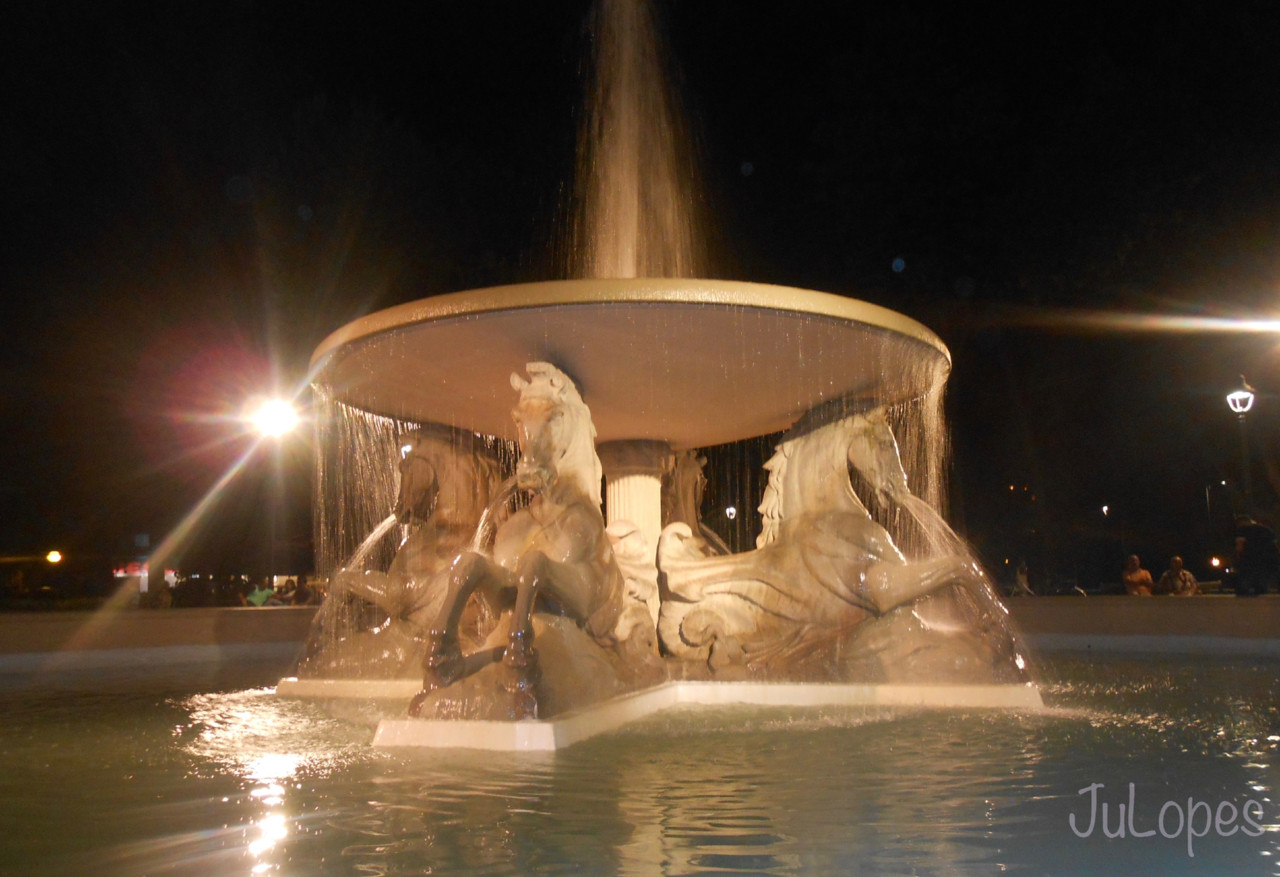 DSCN1821.jpg DSCN1821.jpg