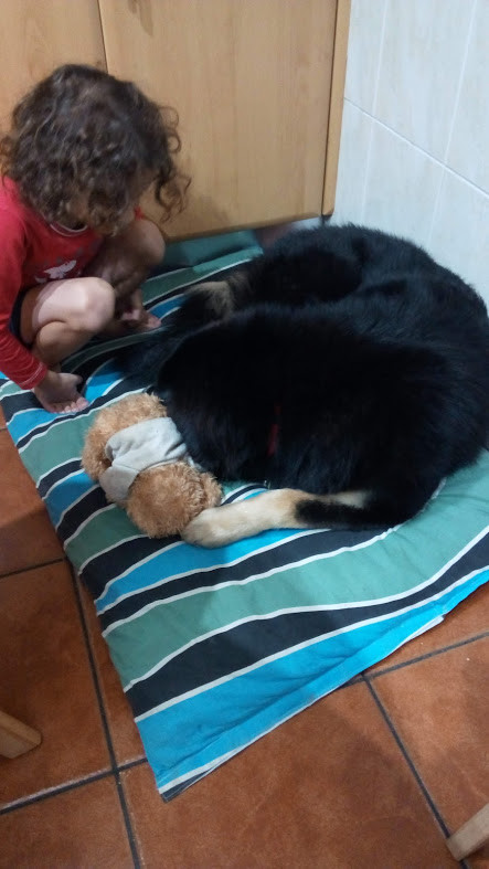 não_me_canso_disto_eles2.jpg