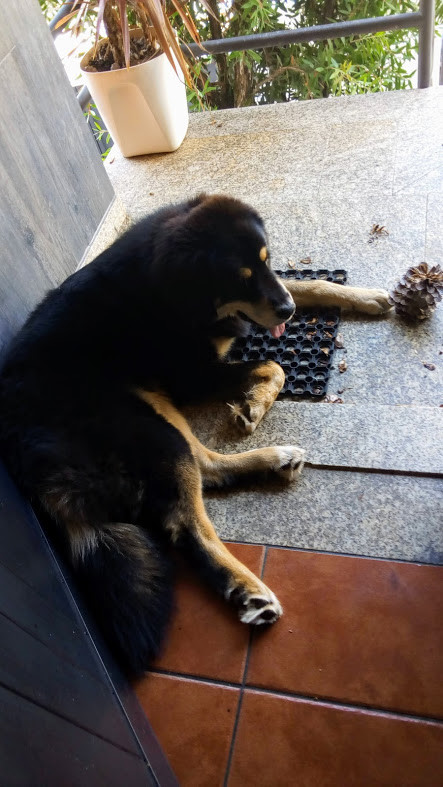 não_me_canso_disto_ferias3.jpg