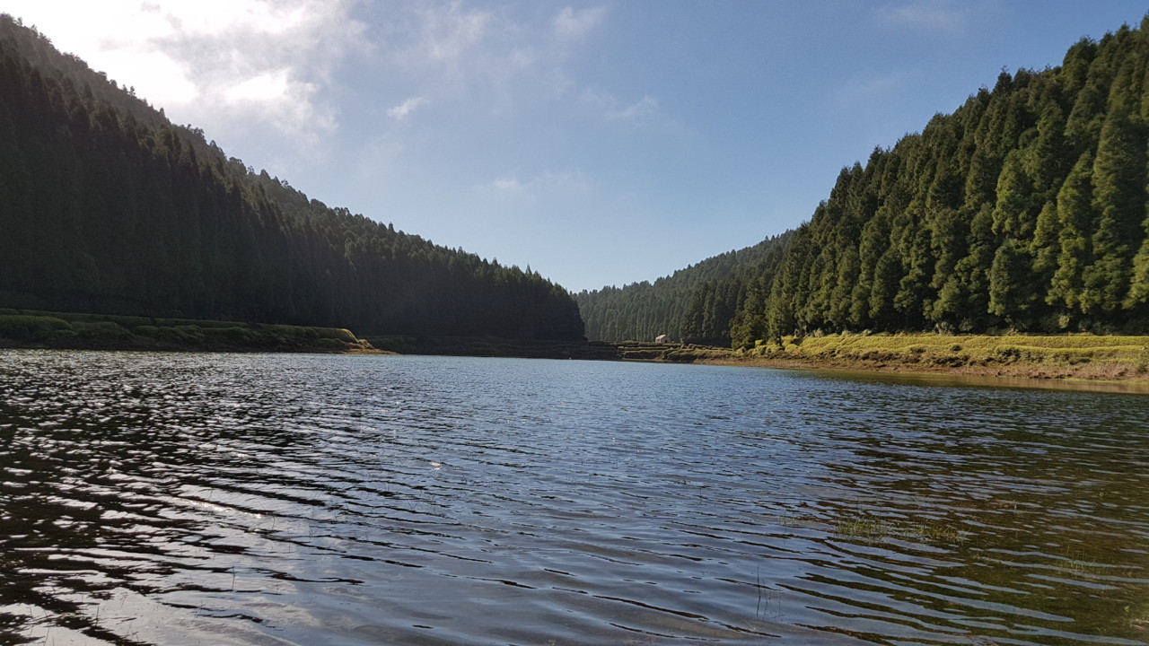 20180408_103234.jpg
